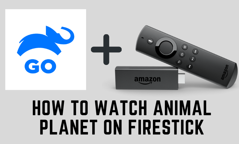 Installer Animal Planet sur Firestick : Guide Complet 2025