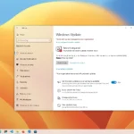 Windows 10 reçoit les mises à jour d&rsquo;août 2024 pour les versions prises en charge (KB5041580)