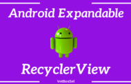 Exemple de RecyclerView extensible Android - VetBosSel