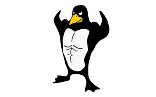 Bases de Linux et commandes les plus nécessaires avec des exemples réels Coupon 100% OFF