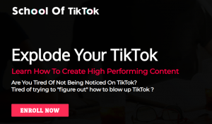 Maîtrise de TikTok par Trevor Bell - SchoolOfTikTok - freetutorialsus.com