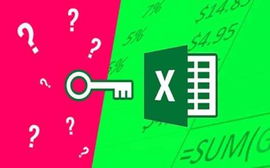 Excel Basics 2020 + Advanced dans Ms Excel 2019 et Office 365