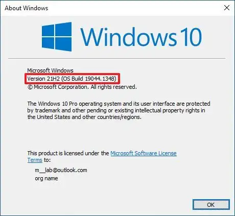 Windows 10 21H2 winver