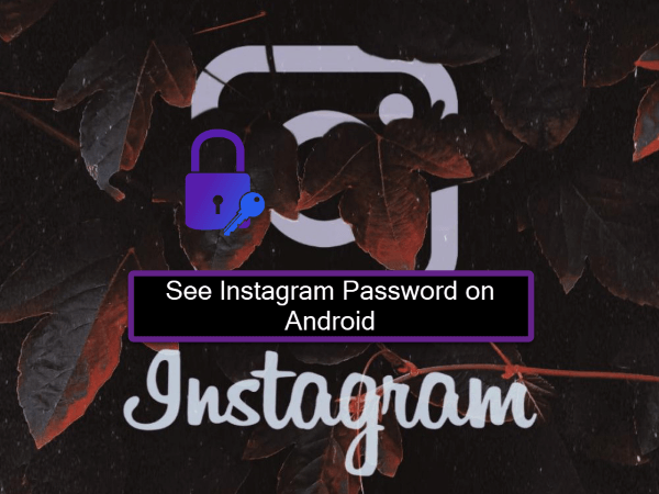 Voir son mot de passe Instagram sur Android : 2 méthodes simples (2024)
