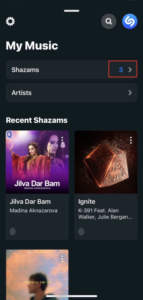 après avoir glissé la page, vous pouvez voir l'historique complet de la chanson shazam sur iPhone