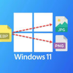 Convertir WEBP en PNG/JPG sur Windows 10/11 : 3 méthodes gratuites (2024)