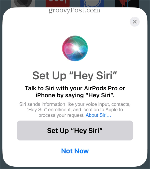 option siri