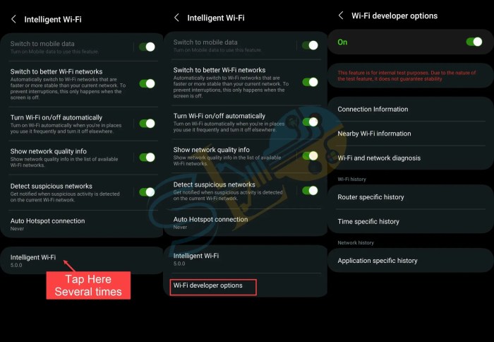 Wi-Fi intelligent One UI 5.0 : comment activer les options de développement Wi-Fi