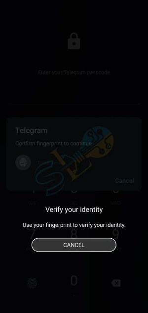 Comment définir le verrouillage des empreintes digitales dans Telegram pour protéger les discussions [Android]
