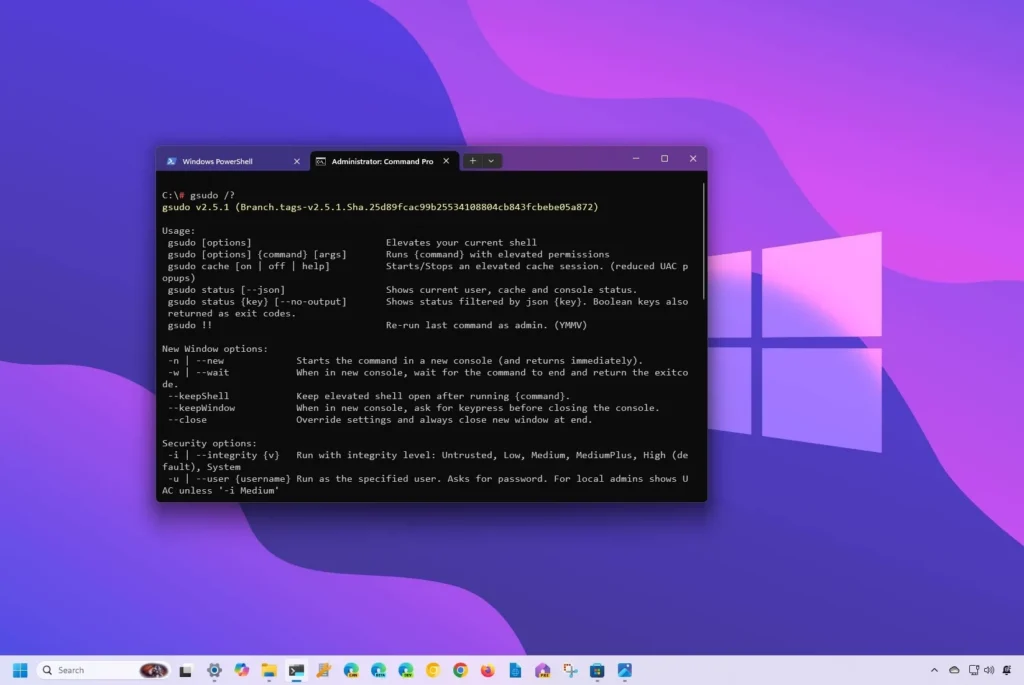 gsudo pour Windows 11/10 : Installez et utilisez sudo comme sur Linux